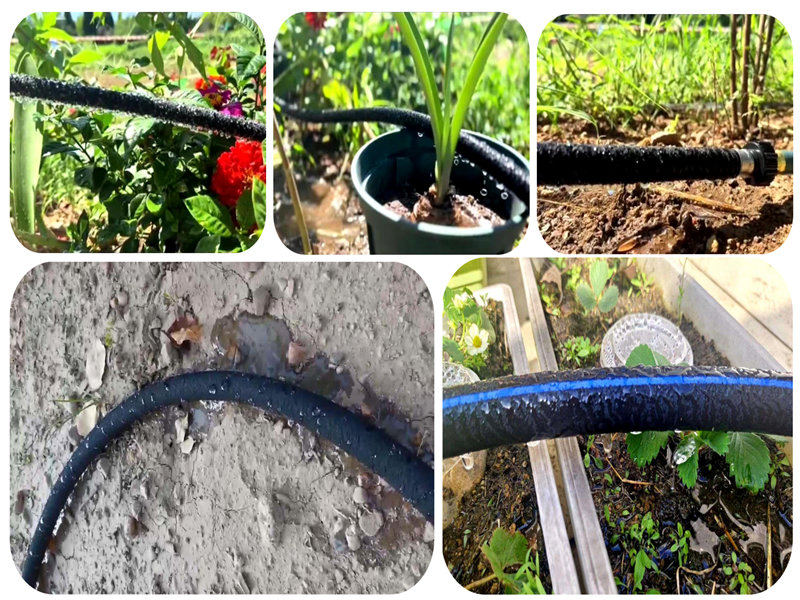 Applicationem Nano Seepage irrigationes pipe in Ave solo irrigationes