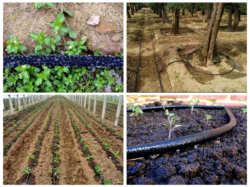 Quae sunt spes mercatus pro Flexilis nano-irrigationis tibiarum?