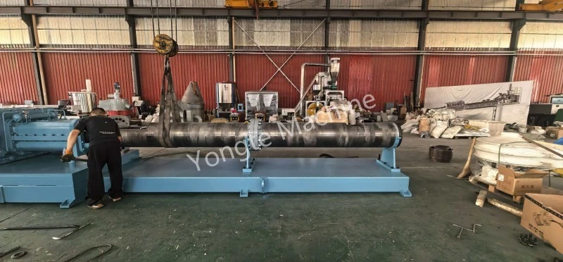 Parallel Didymus stupra Redivivus Extruder ad African Client