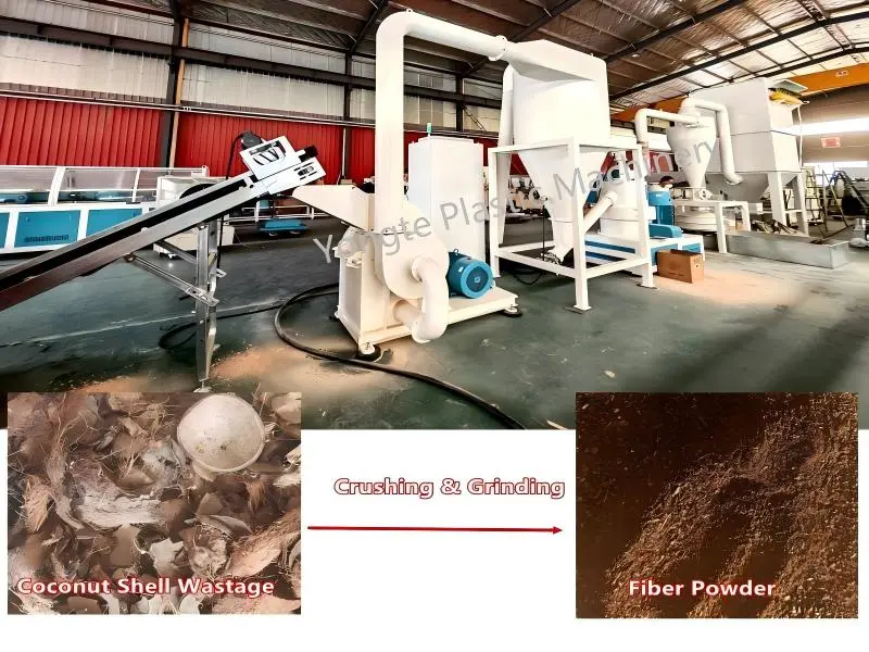 Cocoes Testa Redivivus et Reusing SOLUTIO Cocoes Testa Redivivus et Reusing SOLUTIO